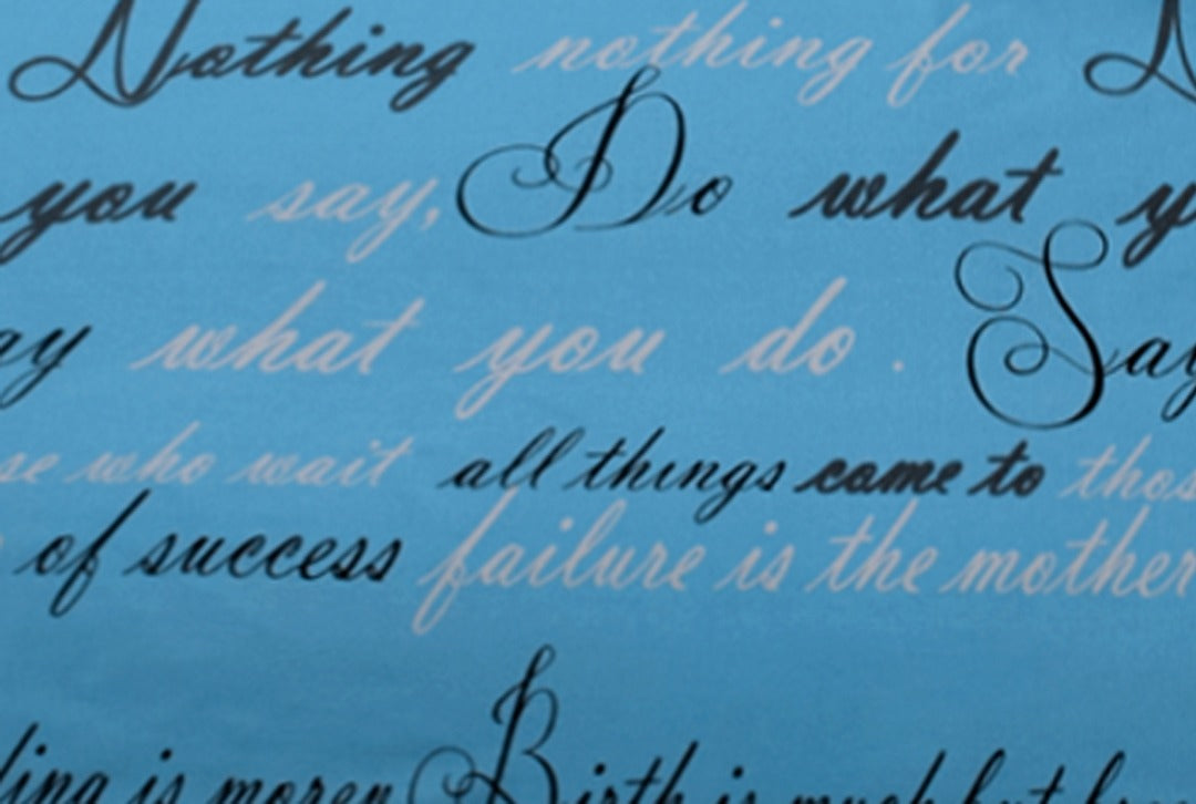 2 Pcs Printed Bed Sheet MHS-962