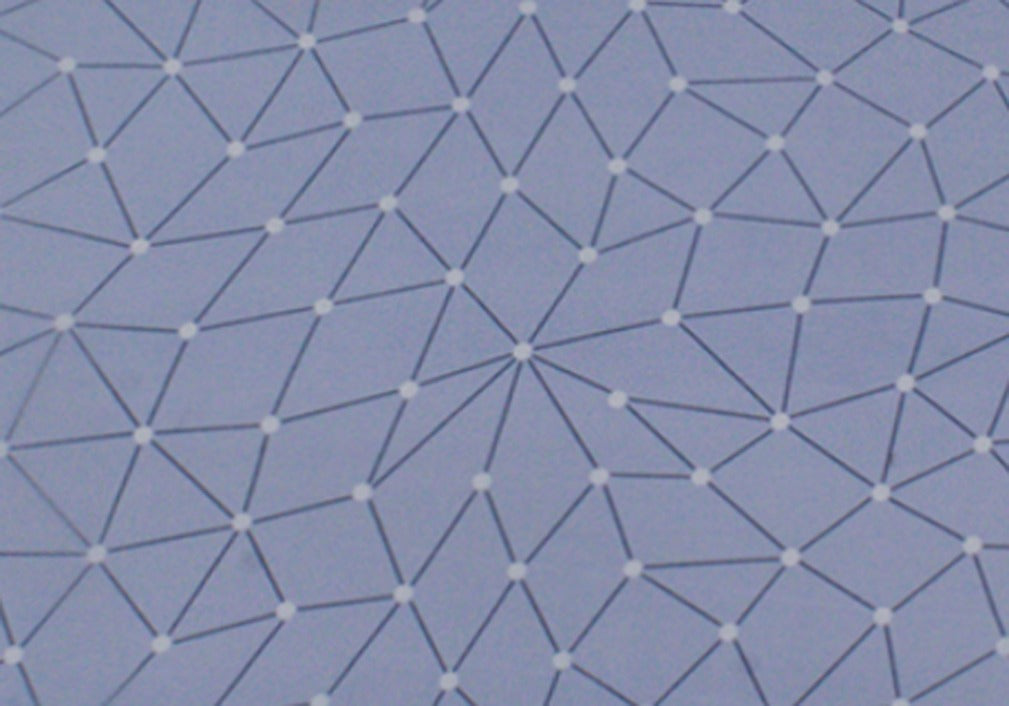 2 Pcs Printed Bed Sheet NB-966