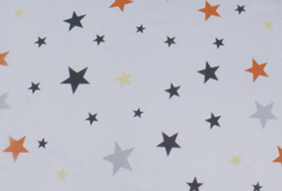 2 Pcs Printed Bed Sheet NB-982