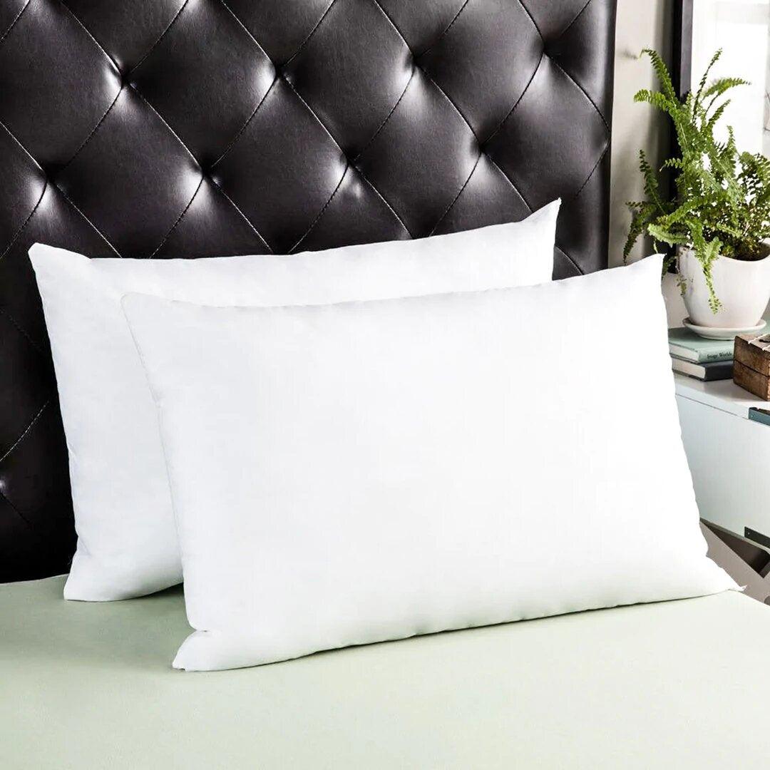 Two Filled Pillows-02 - 92Bedding