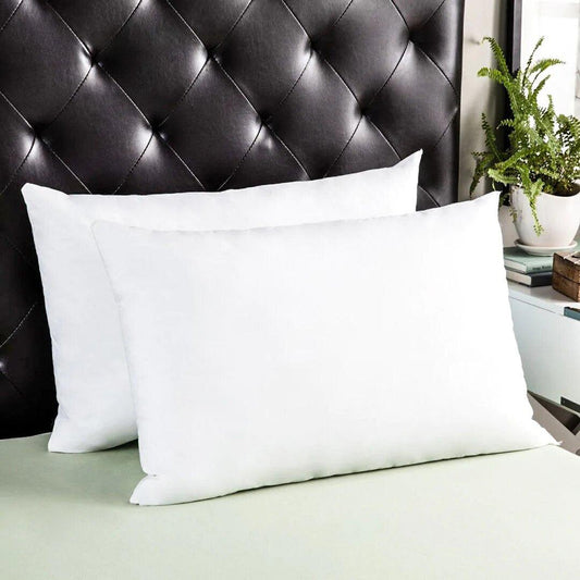 Two Filled Pillows-02 - 92Bedding